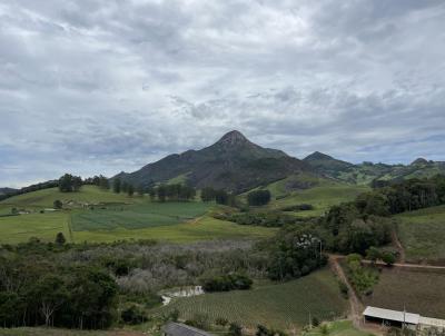 �rea Rural para Venda, em Castelo, bairro Bra�o o Sul - Forno Grande