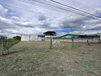 Terreno para Venda, em Araucria, bairro Iguau