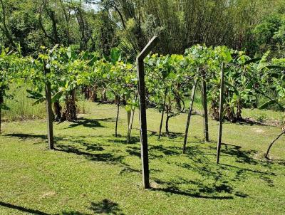 Terreno para Venda, em Boituva, bairro Fazenda Castelo