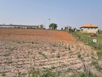 Casa para Venda, em Pereiras, bairro Aboboras, 1 dormitrio