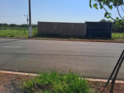 Terreno para Venda, em Pirassununga, bairro Jd Ament