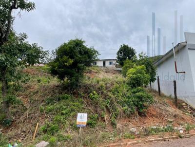 Terreno para Venda, em Frederico Westphalen, bairro Santo Antonio