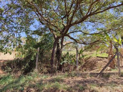 Terreno para Venda, em Hortolndia, bairro Chcaras Luzitana