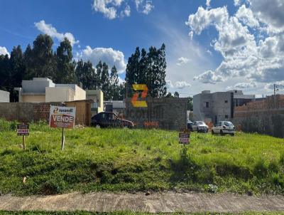 Terreno para Venda, em Guarapuava, bairro Boqueir�o
