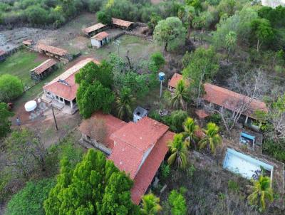 Fazenda para Venda, em Piracuruca, bairro Zona Rural