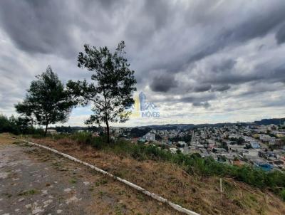 Terreno para Venda, em Garibaldi, bairro Alfndega