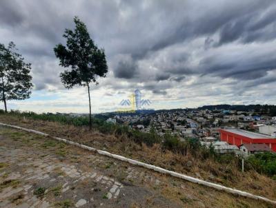 Terreno para Venda, em Garibaldi, bairro Alfndega