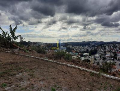 Terreno para Venda, em Garibaldi, bairro Alfndega