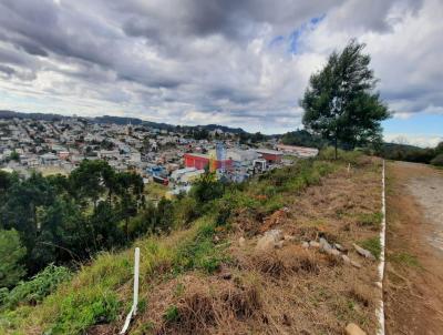 Terreno para Venda, em Garibaldi, bairro Alfndega