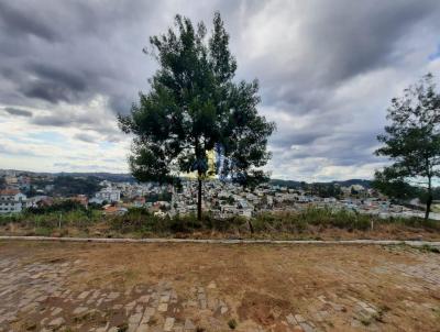 Terreno para Venda, em Garibaldi, bairro Alfndega