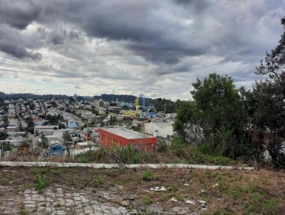 Terreno para Venda, em Garibaldi, bairro Alfndega