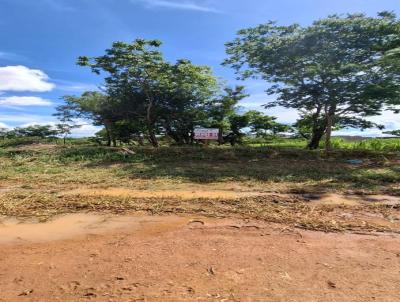 Terreno para Venda, em Cceres, bairro Santa Rosa