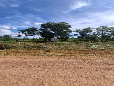 Terreno para Venda, em Cceres, bairro Santa Rosa