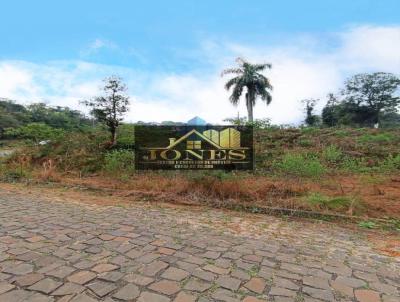 Lote para Venda, em Concrdia, bairro GUILHERME REICH / VITRIO VNETO.