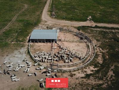 Fazenda para Venda, em Correntina, bairro 