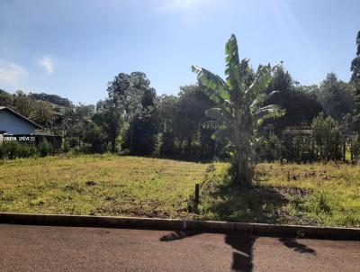 Terreno para Venda, em So Jos do Cedro, bairro LOTEAMENTO GRAF