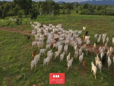 Fazenda para Venda, em Arraias, bairro 