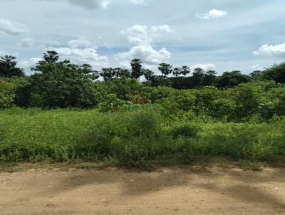 Terreno para Venda, em Governador Dix-Sept Rosado, bairro .