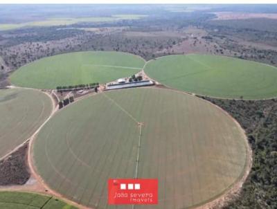 Fazenda para Venda, em Joo Pinheiro, bairro 