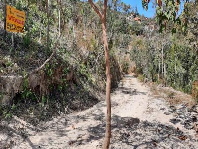 Lote para Venda, em Lima Duarte, bairro Conceio da Ibitipoca