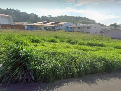 Terreno para Venda, em So Jos, bairro Jardim Botnico