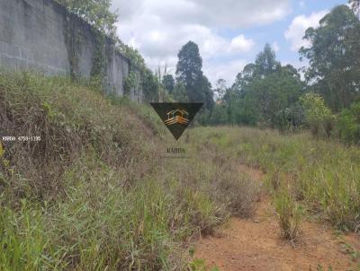 Terreno para Venda, em Suzano, bairro Vila Ipelndia