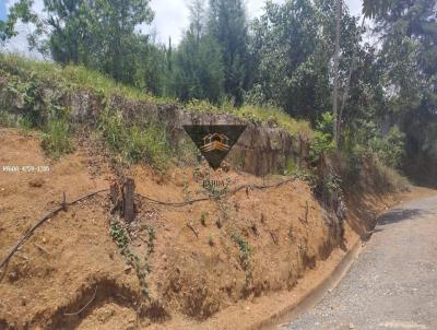 Terreno para Venda, em Suzano, bairro Vila Ipelndia