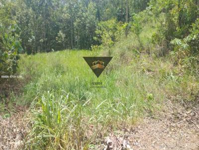 Terreno para Venda, em Suzano, bairro Vila Ipelndia