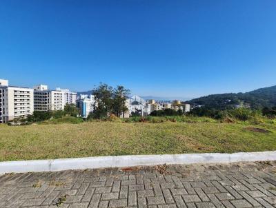 Terreno para Venda, em Florianpolis, bairro Itacorubi