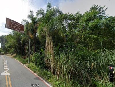 Terreno para Venda, em Florianpolis, bairro Pontas das Canas