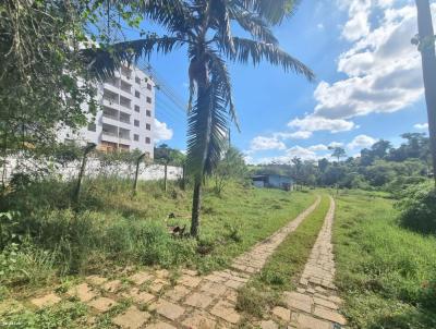 Terreno para Venda, em Cotia, bairro Haras Santa Helena