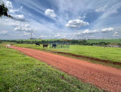 Stio para Venda, em Avar, bairro Centro