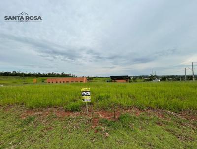 Terreno para Venda, em Santo Antnio da Platina, bairro COND RESIDENCIAL PARQUE DOM PEDRO