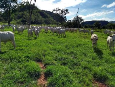 Fazenda para Venda, em Pedra Preta, bairro Rural