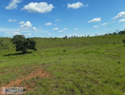 Fazenda para Venda, em Redeno, bairro Rural