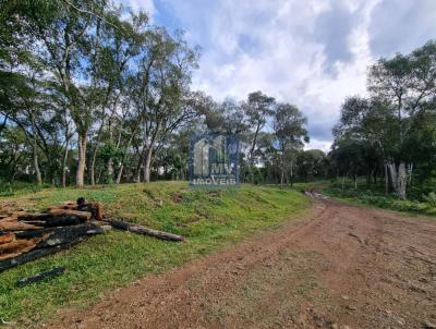 rea Rural para Venda, em Pinho, bairro Pinho, 2 dormitrios, 1 banheiro, 1 vaga