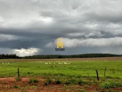 Fazenda para Venda, em Itacaj, bairro Fazenda