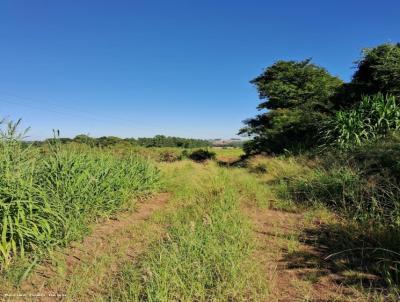 Chcara para Venda, em Teutnia, bairro Teutnia
