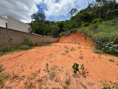 Terreno para Venda, em Tefilo Otoni, bairro Laranjeiras