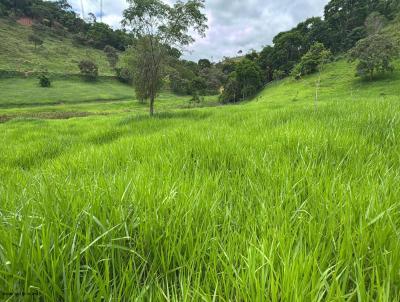 Stio / Chcara para Venda, em Tefilo Otoni, bairro Zona Rural