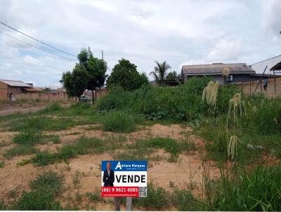 Terreno para Venda, em Sinop, bairro Jardim Portinari