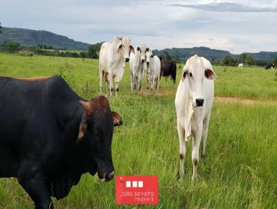 Fazenda para Venda, em Campos Lindos, bairro 