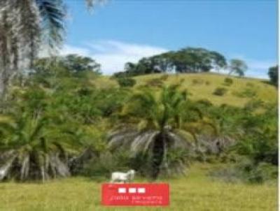 Fazenda para Venda, em Morrinhos, bairro 