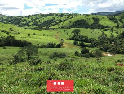 Fazenda para Venda, em So Luiz do Norte, bairro 