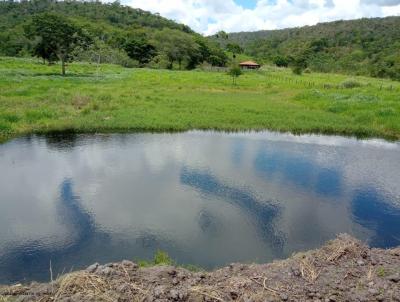 Fazenda para Venda, em Almenara, bairro Municpio