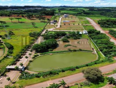 Terreno para Venda, em Erechim, bairro Maria Clara