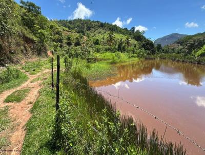 Stio / Chcara para Venda, em Tefilo Otoni, bairro Zona Rural