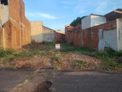 Terreno para Venda, em Bady Bassitt, bairro Jardim das Palmeiras