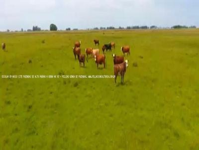 Fazenda para Venda, em Rio Grande, bairro RS