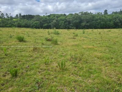 Fazenda para Venda, em Serto Santana, bairro RS